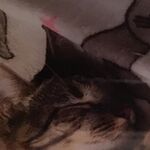 Ocean - instagram username