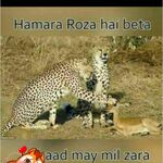 Mahar