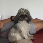 Julija
