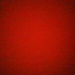 Jaybird_0725