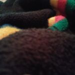 hleon_12