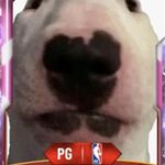 NotErrkM