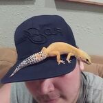 Big Jeff