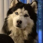 Lunan - snapchat username