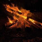 Ivo - discord username