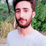 Sherdil