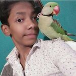 Vaibhav Singh Thakur