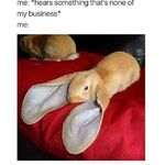 Chris0521