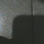 Andrew
