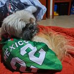 Luis - instagram username