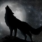 GalacticWolf66