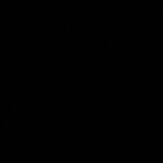 Nspriv