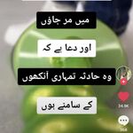 Hamza Raza