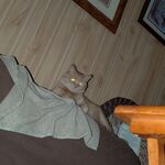 Thunder - snapchat username