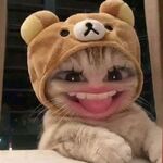 Kate - telegram username