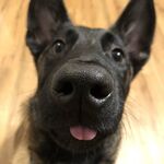 Tobias - tiktok username