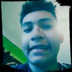 Bambo15
