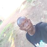 Ibra king
