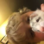 Tristan - instagram username