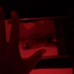 Izaquill - twitter username