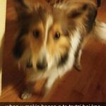 Ben