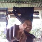 Alvinmarende 