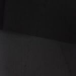 Pedo - discord username