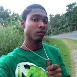marsh