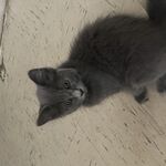 Braydon - instagram username