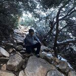 Andrew_W
