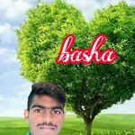 Basha