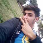 Wajid