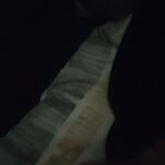 Bigboy - kik username