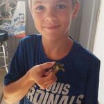 nathan_geisen