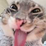 Joseph - kik username