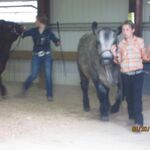 hansenfarms