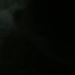 Nutt345