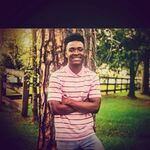 Ant_567