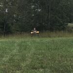 Nick