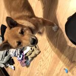 Hunter_Ralen