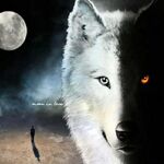 AlphaWolf867