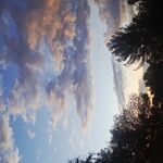 Conor - instagram username