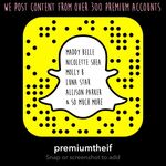premiumtheif