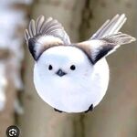Izak Jeffers - discord username