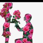 Noman 