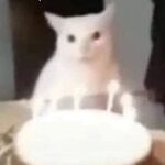 e - instagram username