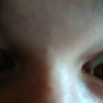 Kees 