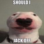 Jaredbb