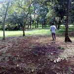 Ardiansyah