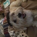 Oliverw609  - instagram username